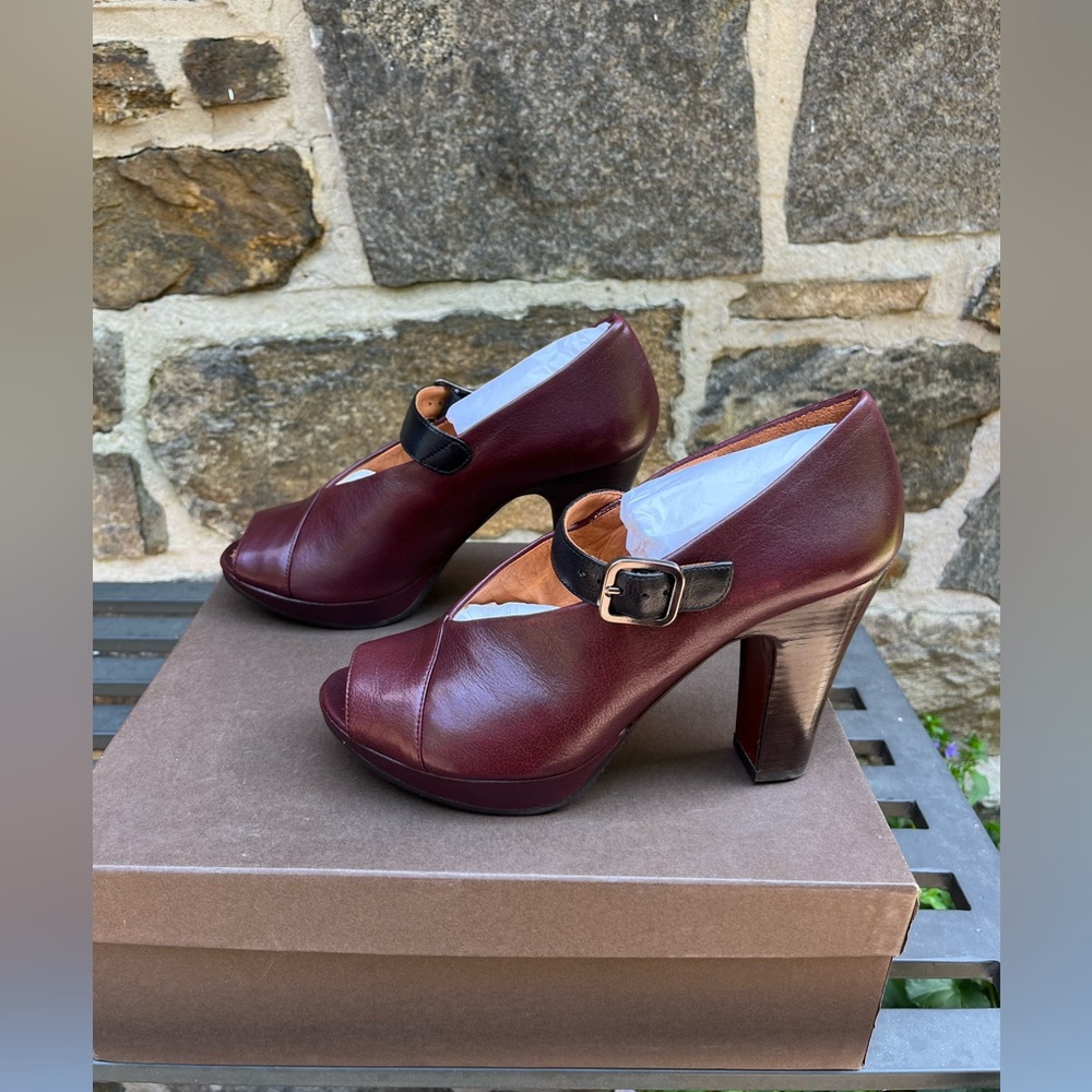 Chie Mihara Teunice Pump in Granate/Taichi